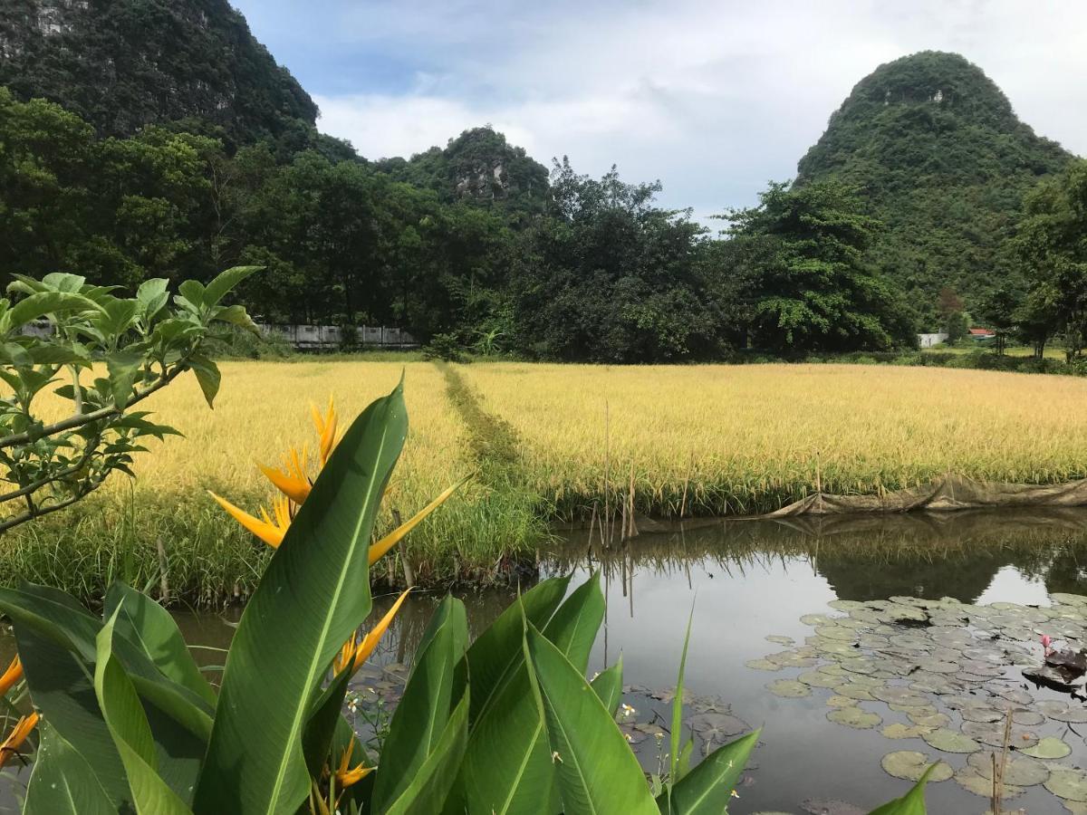 Tam Coc Eco House Apartment Ninh Binh Exterior photo