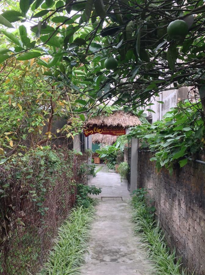 Tam Coc Eco House Apartment Ninh Binh Exterior photo