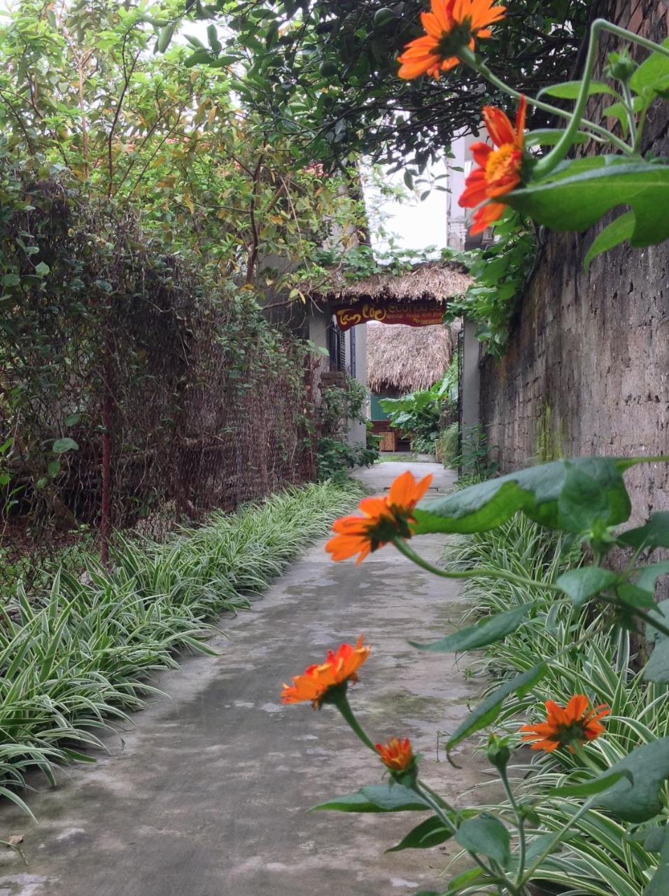 Tam Coc Eco House Apartment Ninh Binh Exterior photo